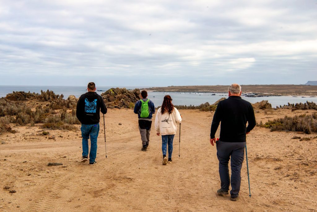 Recorrido terrestre y paisaje costero de Punta de Choros