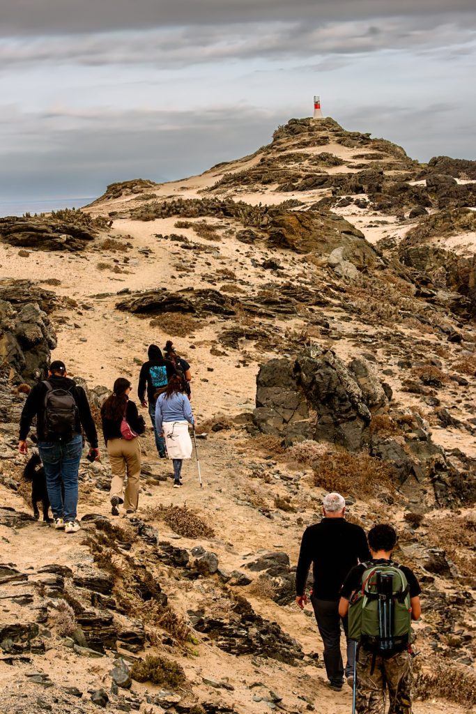 Recorrido terrestre y paisaje costero de Punta de Choros